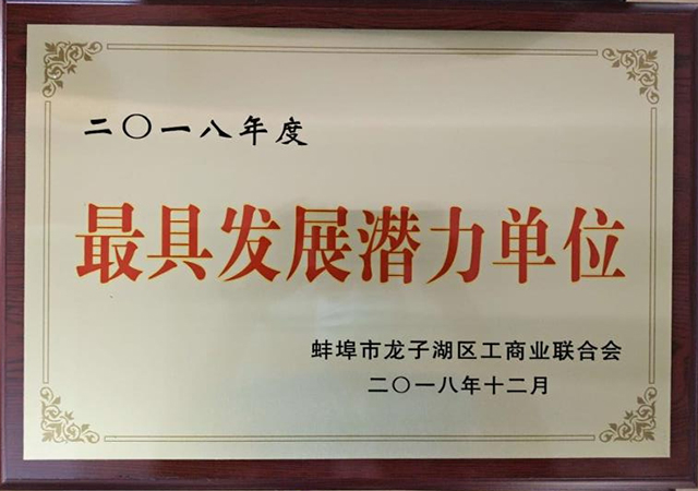 2018年最具潛力發展單位